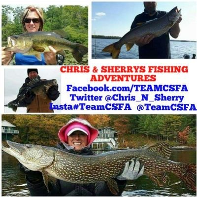 Profile Picture of TeamCSFA (@Chris_N_Sherry) on Twitter