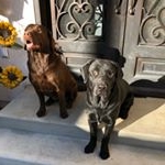 Profile Picture of GinnyAndGeorge (@ginnyandgeorgerawfed) on Instagram