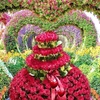 Profile Picture of Anam baig (@@salimsalim3101) on Tiktok
