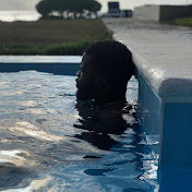 Profile Picture of Eric Hunter (@erichunter6071) on Youtube