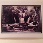 Profile Picture of Mandy McCarthy (@mandymac15) on Instagram