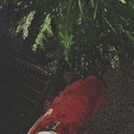 Profile Picture of philliproyle (@philliproyle123) on Instagram