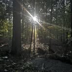 Profile Picture of Richard Dowd (@richard.dowd.5494) on Facebook