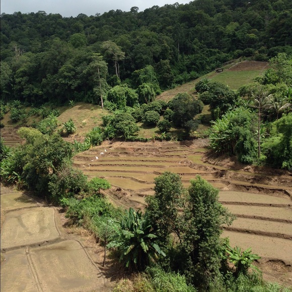 Profile Picture of Chris Horton (@thebamaguy) on Poshmark