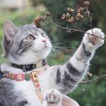 Profile Picture of Gut Man (@freezedawn171) on Instagram