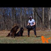 Profile Picture of Dan Patrick Ferguson (@dan-patrick-ferguson) on Quora