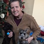 Profile Picture of RosieSteve Bittle (@rosiestevebittle) on Instagram