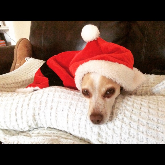 Vanessa Unsell - Poshmark Profile Picture of Vanessa Unsell (@likespink) on Poshmark