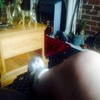 Profile Picture of James Shorter (@@2169682524) on Tiktok