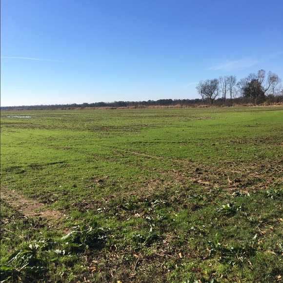 Profile Picture of Jorden Duplechain (@jordendup) on Poshmark