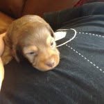 Profile Picture of Leonard Thomas Morrison (@leo.morrison) on Instagram