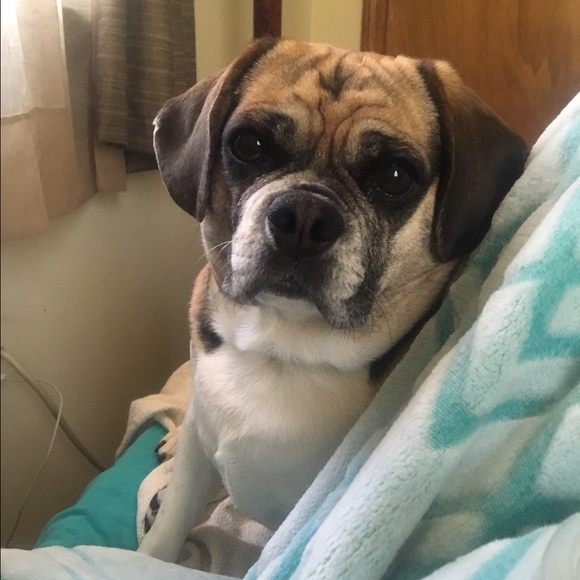 Profile Picture of Brit Grendell (@britgren06) on Poshmark