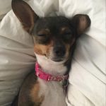 Profile Picture of Monique Jefferies-Terrazas (@jefferiesterrazas) on Instagram