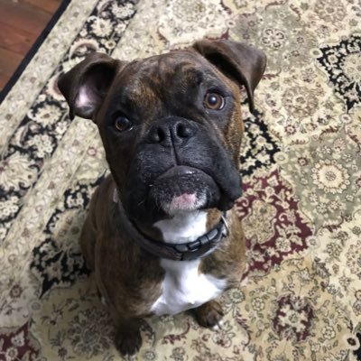 Profile Picture of Shawn Kessler (@Shawn_Kessler) on Twitter