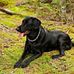 Profile Picture of Mike Mueller (@mike.mueller.39545464) on Facebook