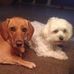 Profile Picture of Andrea Heidemann (@andrea.heidemann.1671) on Facebook