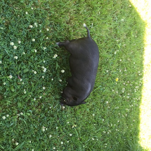 Profile Picture of Janet Kirby (@sassyjk) on Poshmark