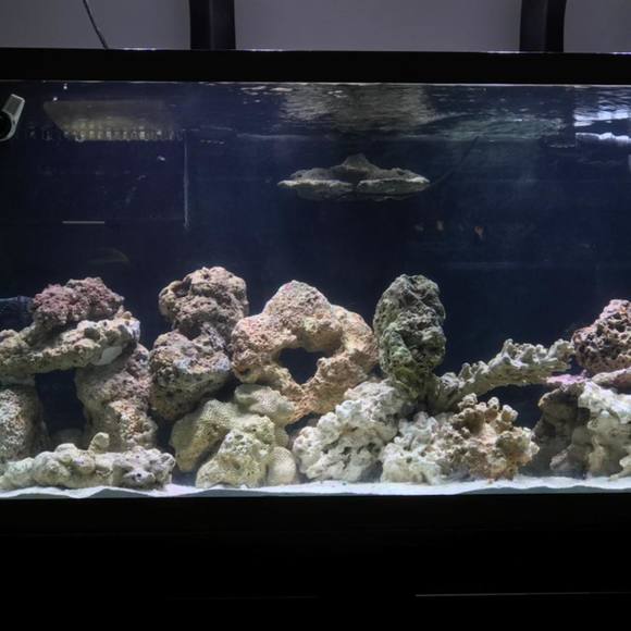 Profile Picture of Tony Adams (@tonyadams434) on Poshmark