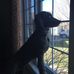 Profile Picture of Cathy Fredericks (@cathy.fredericks.54) on Facebook