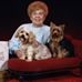 Profile Picture of Phyllis Hearn (@phyllis.hearn.12) on Facebook
