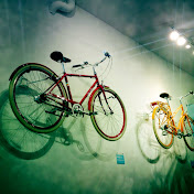 Profile Picture of Steve Rhodes (@arirhodes) on Youtube