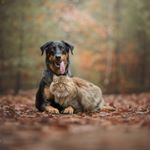 Profile Picture of Jessica-Jade Leduc (@charly.and.xenia) on Instagram