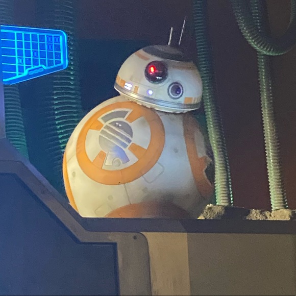 Profile Picture of Dylan Brundege (@brundegedylan) on Poshmark