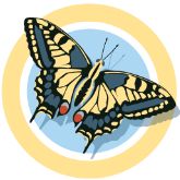 Profile Picture of Swallowtail Social (@ruthswallowtailsocial) on Pinterest