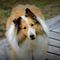 Profile Picture of Hazel Andersen (@hazel.andersen.79) on Facebook
