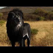 Profile Picture of Michael Forman (@19Gumby65) on Youtube