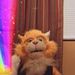 Profile Picture of Nathaniel Bauer (@bauer0858) on Pinterest
