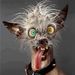 Profile Picture of Ben Dufour (@kebekois) on Pinterest