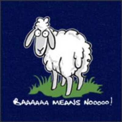 Profile Picture of Peter Casale (@casalepete) on Twitter