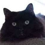 Dawn - Instagram Profile Picture of Dawn (@dawn.george.36) on Instagram