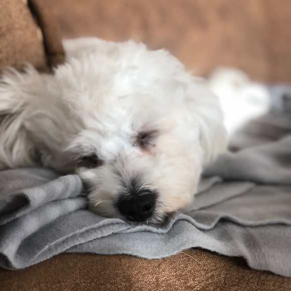 Profile Picture of Marcy Lelis (@marcylelis) on Poshmark