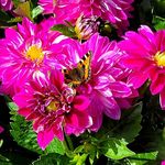 Profile Picture of Renate Lie Ringqvist (@renatelieringqvist) on Instagram