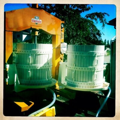 Profile Picture of Toby Williamson (@1YNMKR) on Twitter