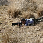 Profile Picture of Bastiaan Van Gemert (@biobelevenis bastiaan) on Flickr