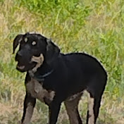 Profile Picture of Zoey Kelly (@ZoeyKelly-x3o) on Youtube