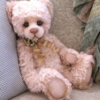Profile Picture of STEPHANIE TACKETT (@STEPHANIE77864) on Twitter