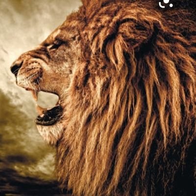 Profile Picture of Derix Bell (@DerixBell) on Twitter