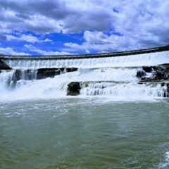 Profile Picture of Thomas Dale (@thomasdale2) on Tiktok