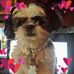 Profile Picture of Claudia Hendrix (@claudia.hendrix.98) on Facebook