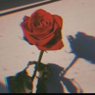 Profile Picture of Crystal Cerda (@CrystalCerda9) on Twitter