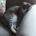 Profile Picture of Shirley Hauger (@shirley.hauger.3) on Facebook