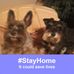 Profile Picture of Sharon Ehler (@sharon.ehler.3) on Facebook