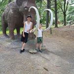 Profile Picture of Lori Sines (@lori341983) on Instagram