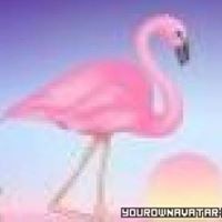 Profile Picture of Kala Allen Hisel (@kala-allen-hisel) on Quora