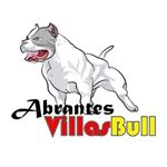 Profile Picture of Alex Barroso (@abrantesvillasbull) on Instagram