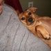 Profile Picture of David Hauff (@david.hauff.9) on Facebook